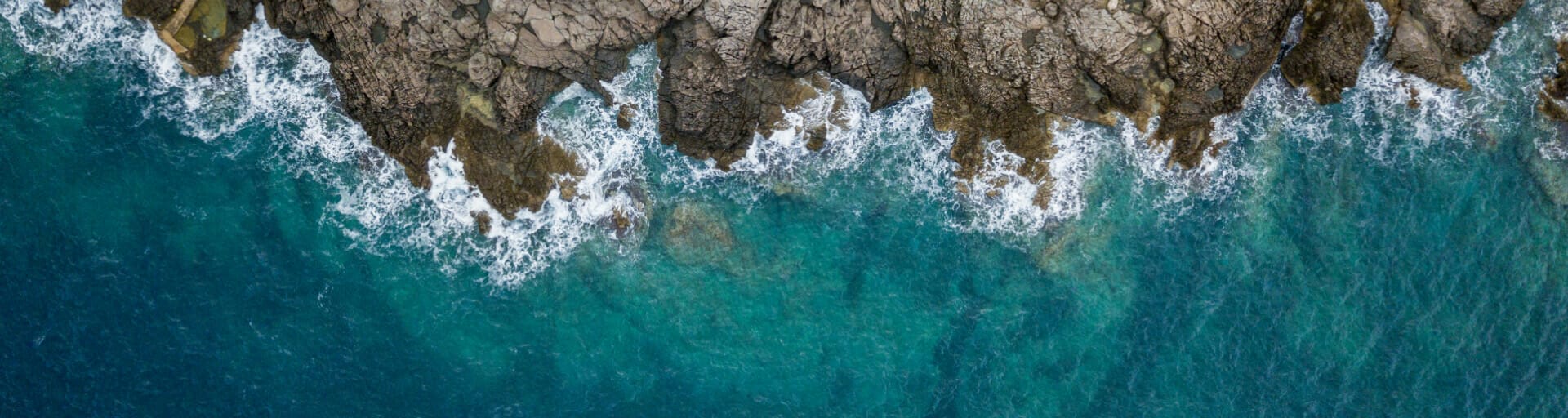 The Center for Global Discovery and Conservation Science's 10 labs seek to understand, adapt to and mitigate the effects of environmental change globally.