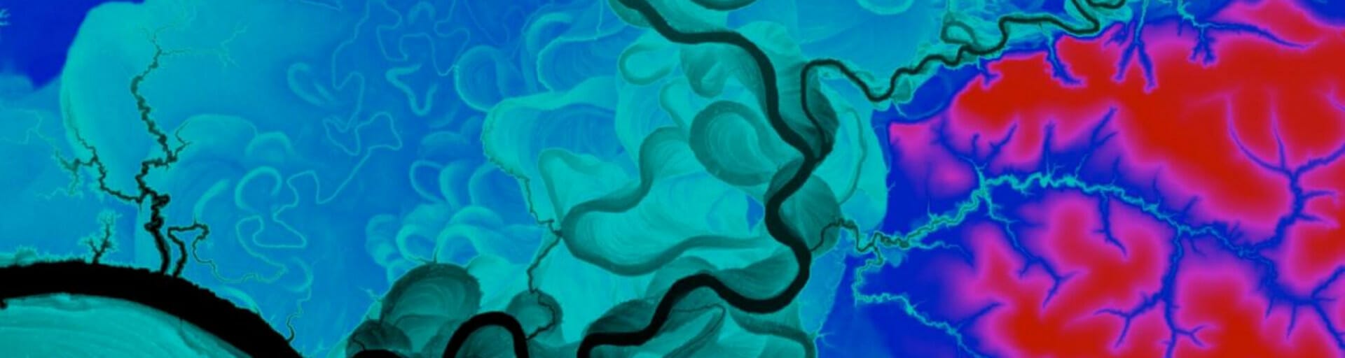 Decorative image of what appears to be a close up infrared image of a jellyfish or a human brain