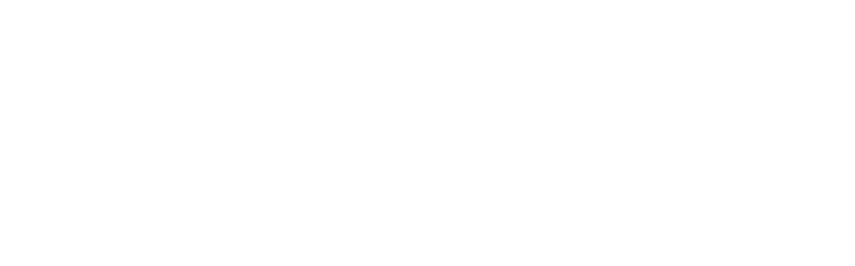 Sustainable Cities Network Logo